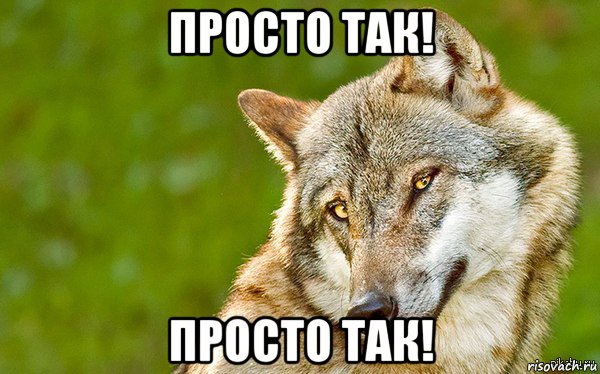 просто так! просто так!, Мем   Volf