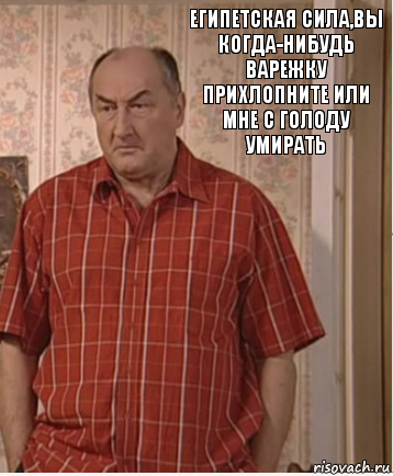 Египетская сила,вы когда-нибудь варежку прихлопните или мне с голоду умирать, Комикс Николай Петрович Воронин