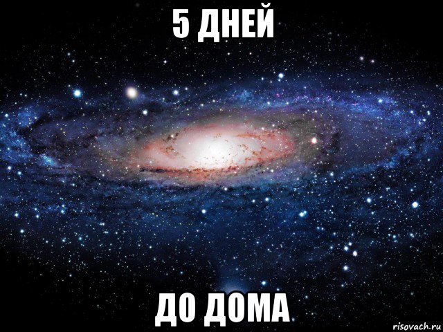 5 дней до дома, Мем Вселенная