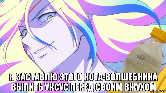  я заставлю этого кота-волшебника выпить уксус перед своим вжухом