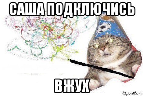 саша подключись вжух