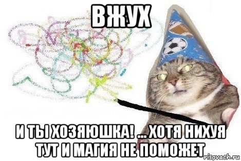 вжух и ты хозяюшка! ... хотя нихуя тут и магия не поможет, Мем Вжух мем