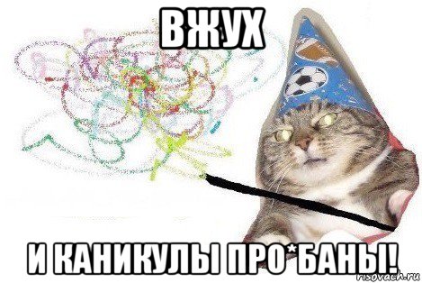 вжух и каникулы про*баны!, Мем Вжух мем