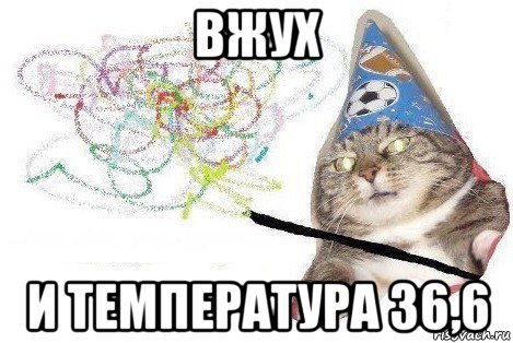 вжух и температура 36,6, Мем Вжух мем