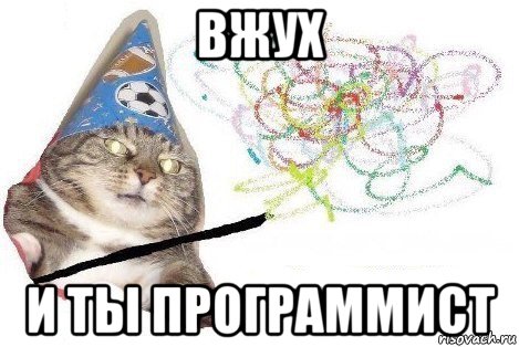 вжух и ты программист, Мем Вжух