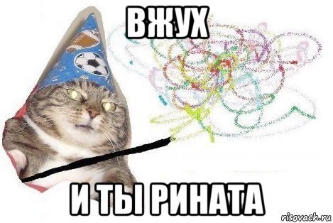 вжух и ты рината, Мем Вжух