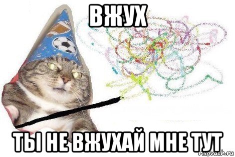 вжух ты не вжухай мне тут, Мем Вжух