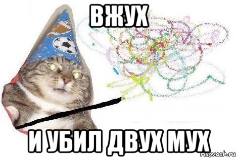 вжух и убил двух мух, Мем Вжух