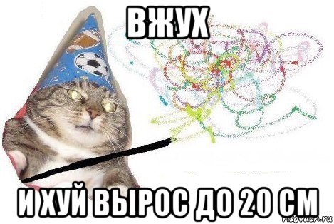 вжух и хуй вырос до 20 см, Мем Вжух