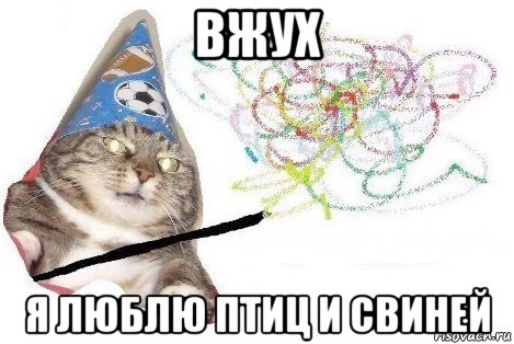 вжух я люблю птиц и свиней, Мем Вжух