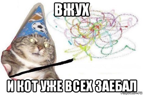 вжух и кот уже всех заебал, Мем Вжух