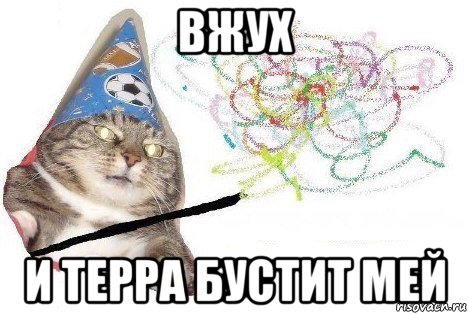 вжух и терра бустит мей, Мем Вжух