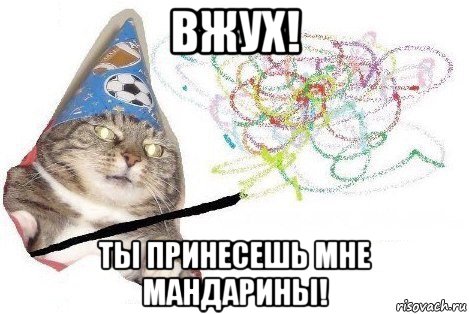 вжух! ты принесешь мне мандарины!, Мем Вжух