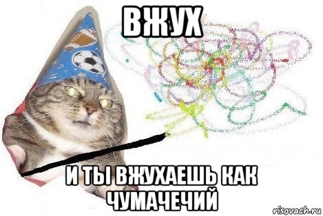 вжух и ты вжухаешь как чумачечий, Мем Вжух