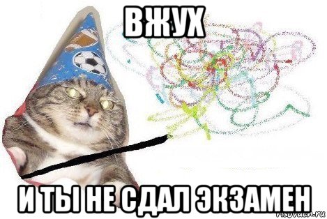 вжух и ты не сдал экзамен, Мем Вжух