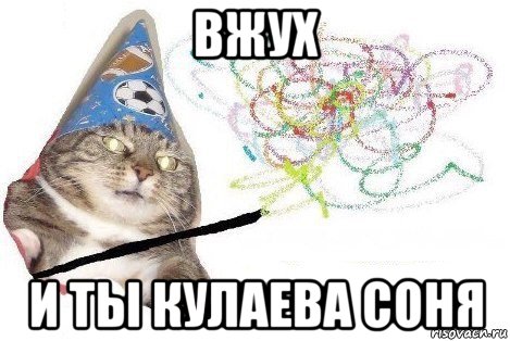 вжух и ты кулаева соня, Мем Вжух