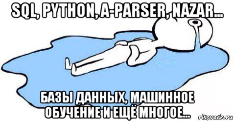 sql, python, a-parser, nazar... базы данных, машинное обучение и ещё многое...