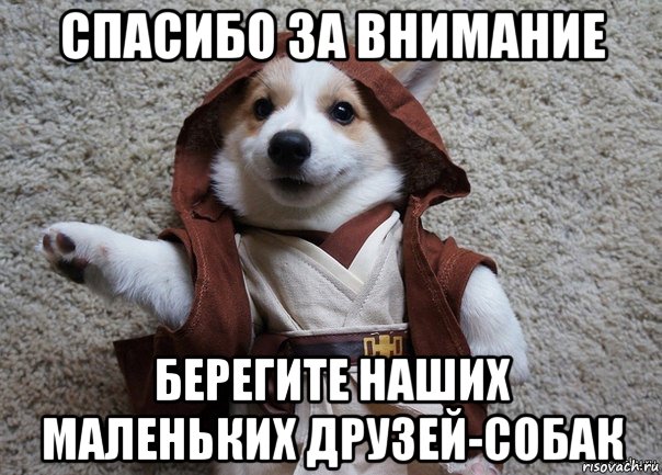 спасибо за внимание берегите наших маленьких друзей-собак, Мем Я та собака