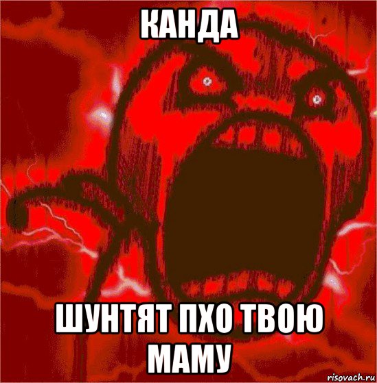 канда шунтят пхо твою маму