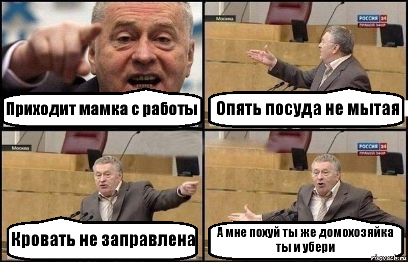 Приходит мамка с работы Опять посуда не мытая Кровать не заправлена А мне похуй ты же домохозяйка
ты и убери, Комикс Жириновский