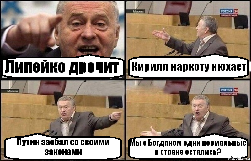 Липейко дрочит Кирилл наркоту нюхает Путин заебал со своими законами Мы с Богданом одни нормальные в стране остались?, Комикс Жириновский