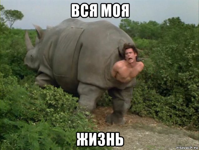 вся моя жизнь, Мем ЖИЗА