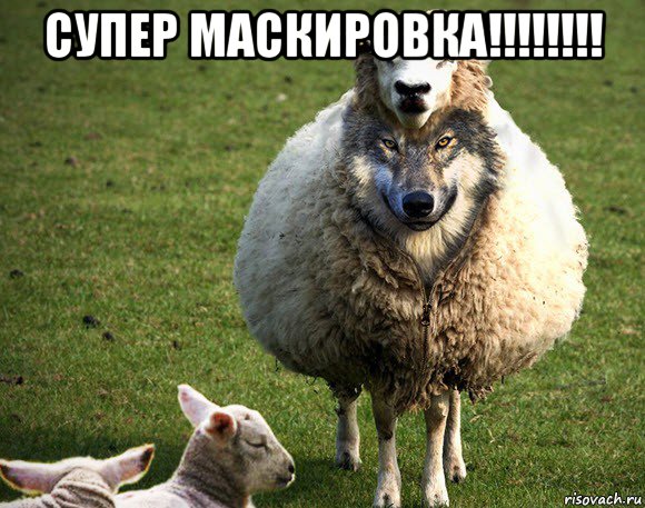 супер маскировка!!!!!!!! , Мем Злая Овца