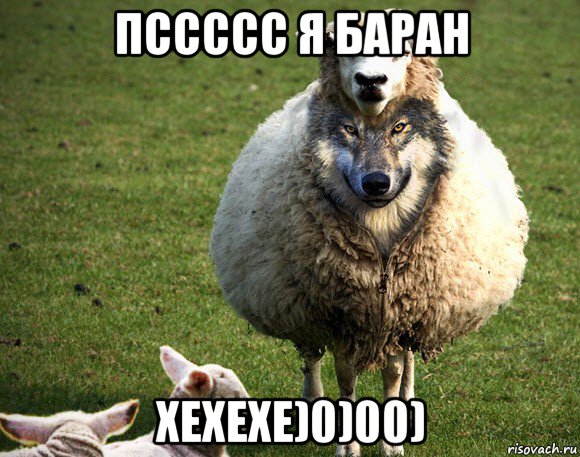 пссссс я баран хехехе)0)00), Мем Злая Овца