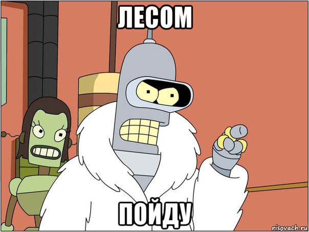 лесом пойду