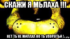 скажи я мьлаха !!! нет ть не милаха но ть упоротьй !