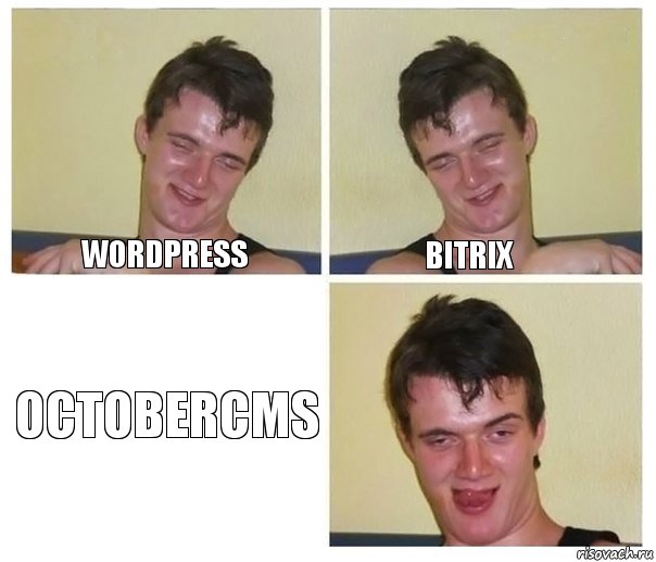 Wordpress Bitrix OctoberCMS, Комикс Не хочу (10 guy)