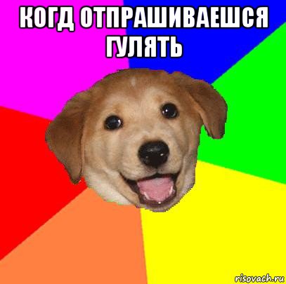 когд отпрашиваешся гулять , Мем Advice Dog