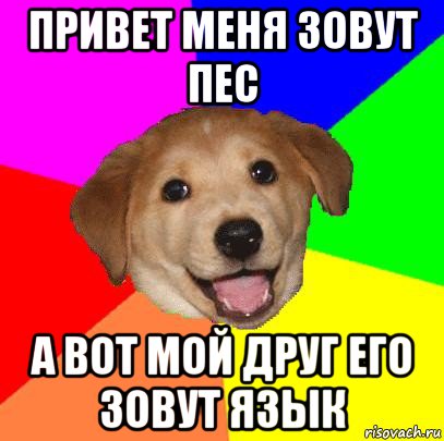 привет меня зовут пес а вот мой друг его зовут язык, Мем Advice Dog