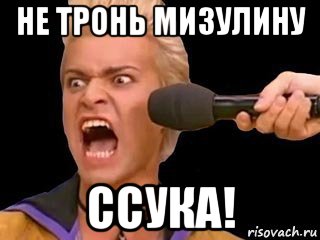 не тронь мизулину ссука!, Мем Адвокат