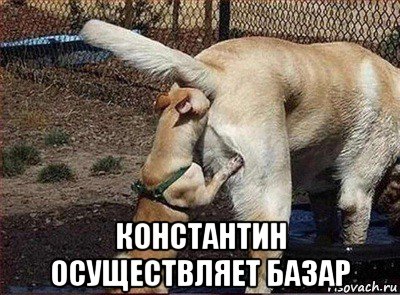  константин осуществляет базар