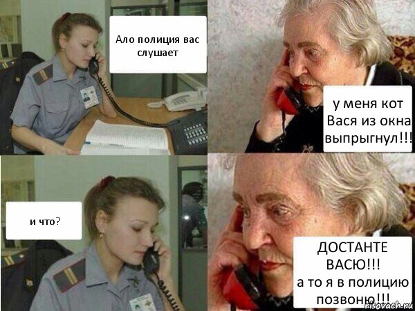 Ало полиция вас слушает у меня кот Вася из окна выпрыгнул!!! и что? ДОСТАНТЕ ВАСЮ!!!
а то я в полицию позвоню!!!, Комикс  Бдительная бабуся