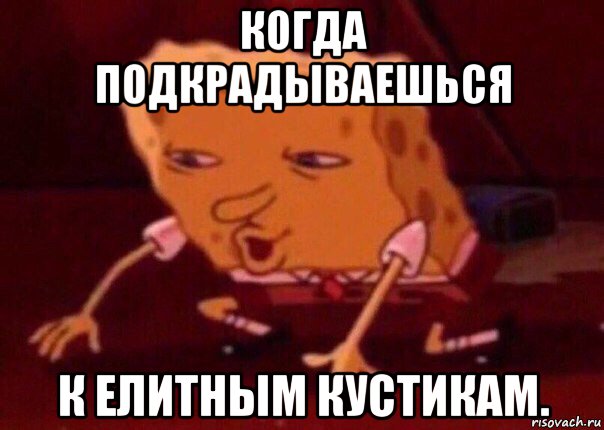 когда подкрадываешься к елитным кустикам., Мем    Bettingmemes