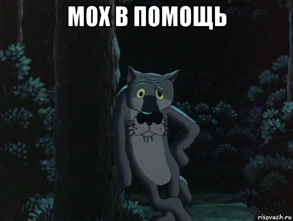 мох в помощь 