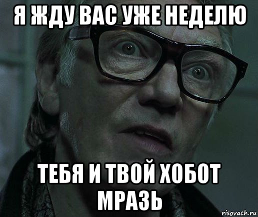 я жду вас уже неделю тебя и твой хобот мразь