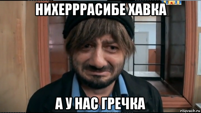 нихерррасибе хавка а у нас гречка