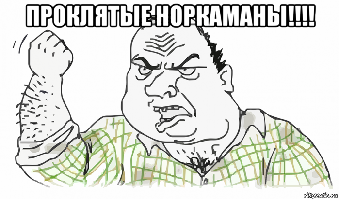 проклятые норкаманы!!!! , Мем Будь мужиком