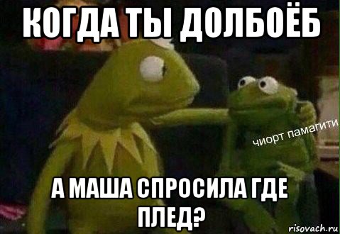когда ты долбоёб а маша спросила где плед?