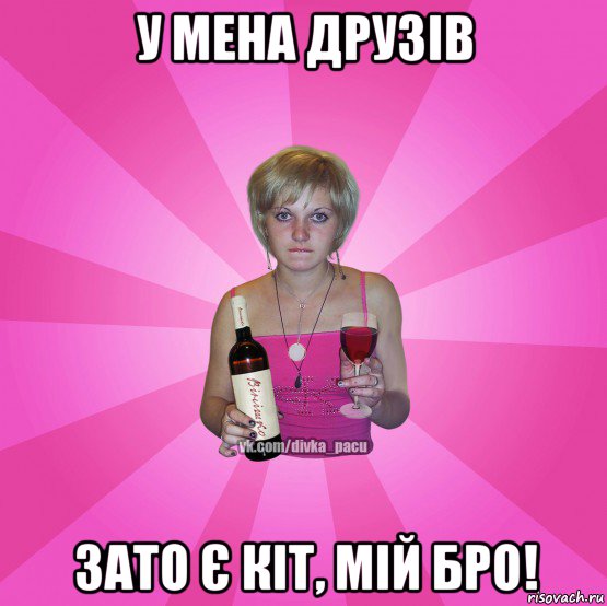 у мена друзів зато є кіт, мій бро!