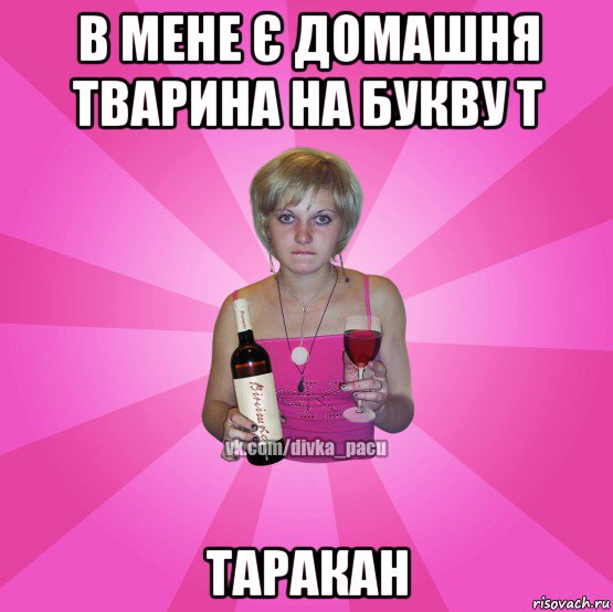 в мене є домашня тварина на букву т таракан