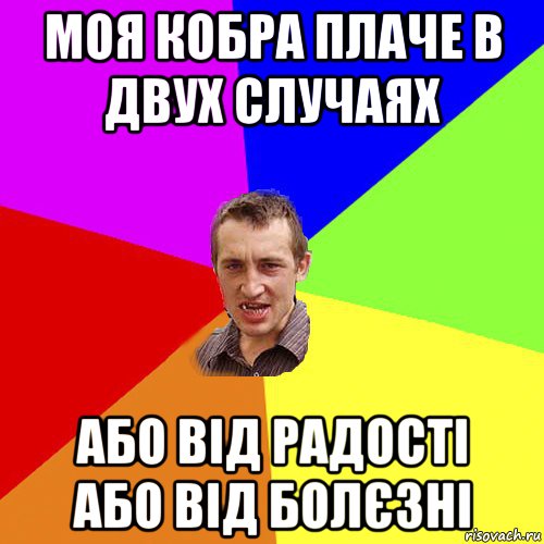 моя кобра плаче в двух случаях або від радості або від болєзні, Мем Чоткий паца