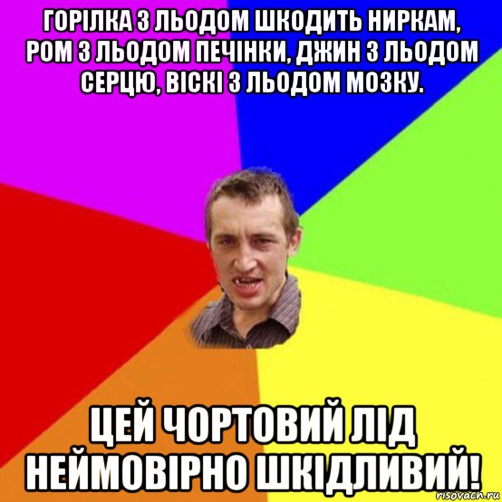 горілка з льодом шкодить ниркам, ром з льодом печінки, джин з льодом серцю, віскі з льодом мозку. цей чортовий лід неймовірно шкідливий!
