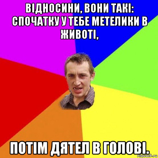 відносини, вони такі: спочатку у тебе метелики в животі, потім дятел в голові.