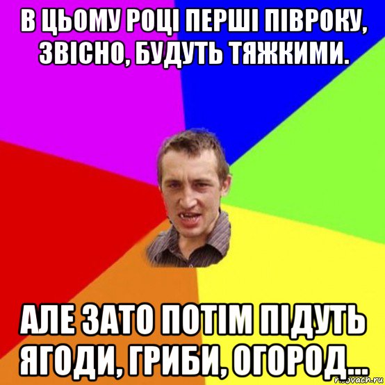 в цьому році перші півроку, звісно, будуть тяжкими. але зато потім підуть ягоди, гриби, огород...