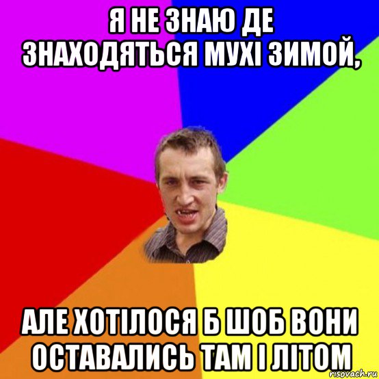 я не знаю де знаходяться мухі зимой, але хотілося б шоб вони оставались там і літом