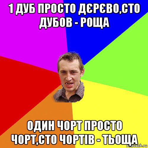 1 дуб просто дєрєво,сто дубов - роща один чорт просто чорт,сто чортів - тьоща, Мем Чоткий паца